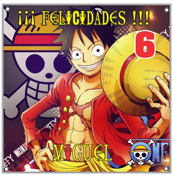 Lona Personalizada One Piece 