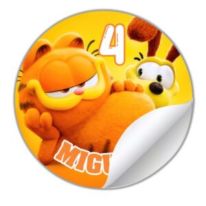 https://cyberparty.shop/categoria-producto/personaje-2/garfield/